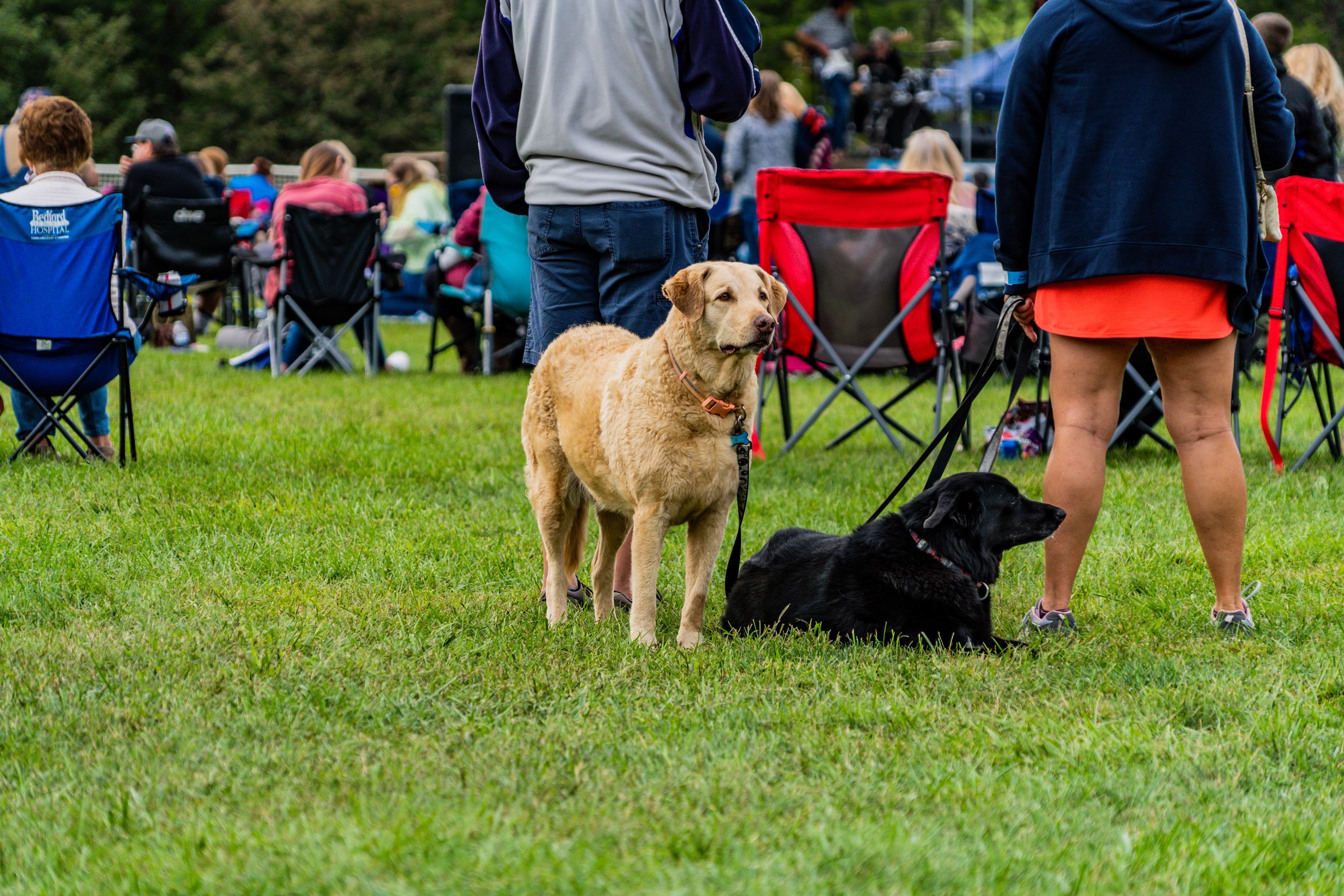 Battle of the Bands  Cruise In Pic 23